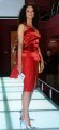 Colectia Nausica Tutoi la Miss Globe International Romania (dec.2005 pt. Finala Mondiala 2006) 