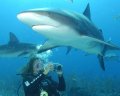 Jurnalista Oana Georgescu la Miss Intercontinental 2006, cu rechinii-SHARK REEF Image courtesy of Stuart Cove`s Dive BAHAMAS & ISLAND WORLD 