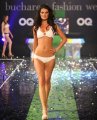 model Colectia Pepos