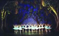 Spectacol Opera Nationala :Frumoasa din padurea adormita pe scena ONB, sambata, 10 noiembrie, ora 18.30