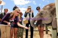 Miss World 2009 Safari Eastern Cape of South Africa