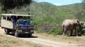 Miss World 2009 Safari Eastern Cape of South Africa 