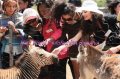 Miss World 2009 Safari Eastern Cape of South Africa (Romania, right side) 