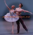 Dans  Balet Who`sWho_SP Iana Salenko, Berlin Opera Ballet INTERNATIONAL BUCHAREST GALA - `Stars of the 21st Century` +++