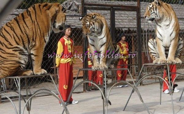 2007-Kunming -Visit Animal Park at Top Model of the World 