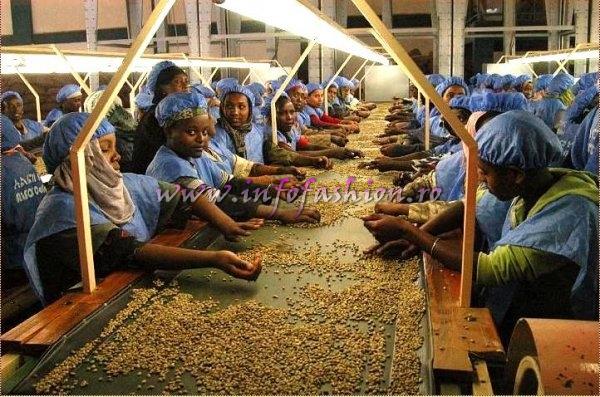 The coffee Factory Ethiopia (Credit: Alessandro Zanazzo, Italy)