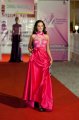 Claudia Taruca (Bacau) la Miss & Romanian Infofashion Festival