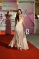 Teodora Baloniu (Mehedinti) la Miss & Romanian Infofashion Festival